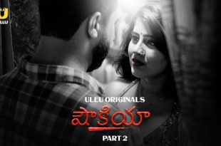 Shaukiya Part 2 Telugu Hot Web Series